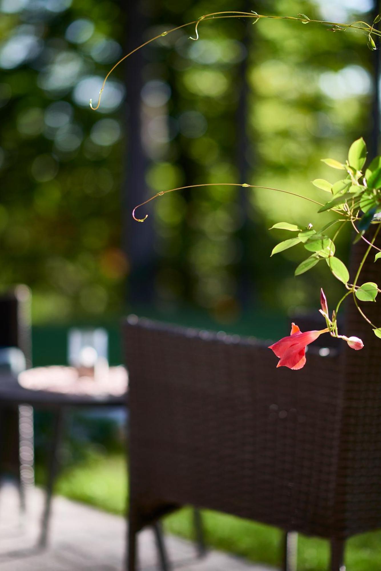 B&B Plitvica Creek Plitvica selo Phòng bức ảnh