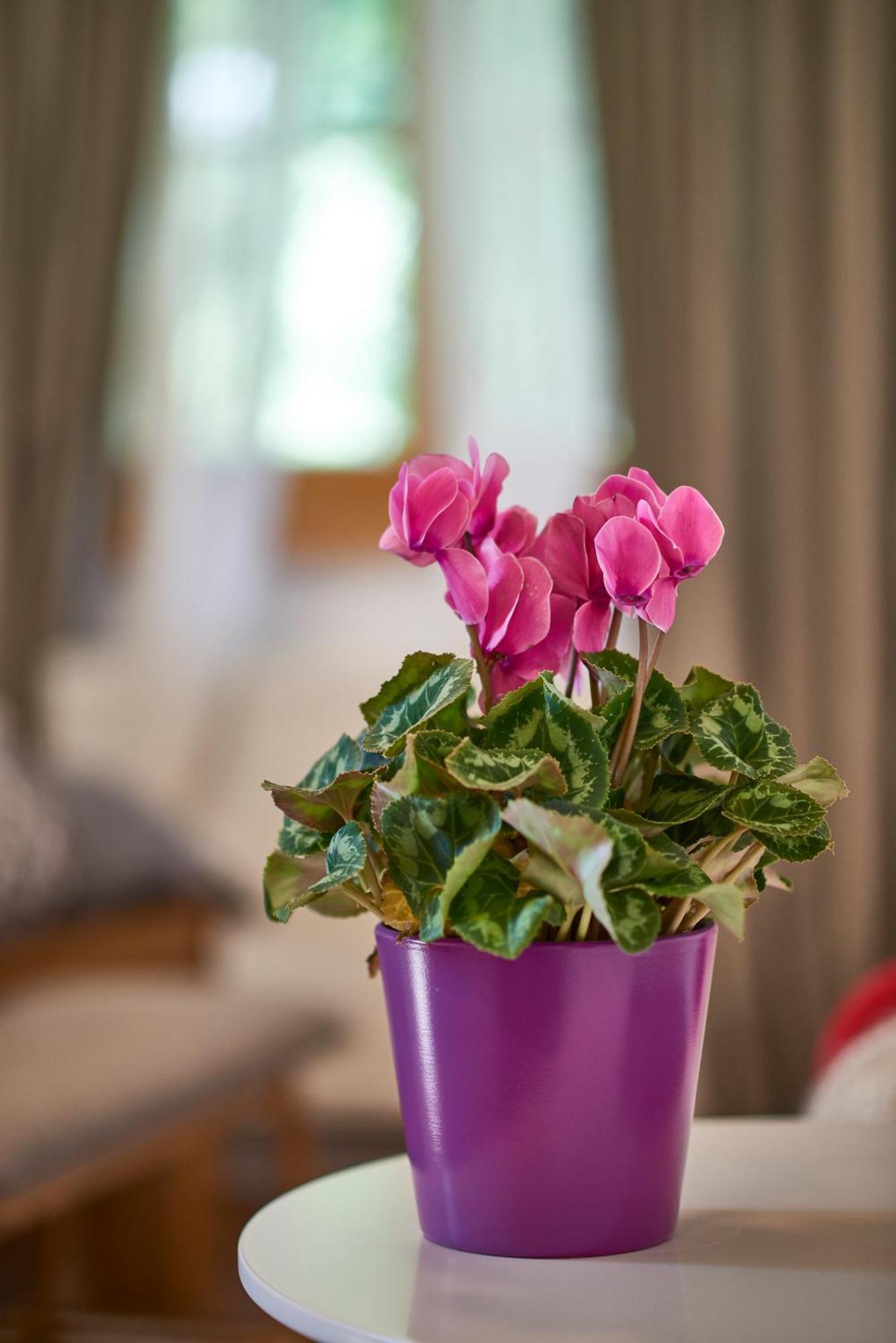B&B Plitvica Creek Plitvica selo Phòng bức ảnh